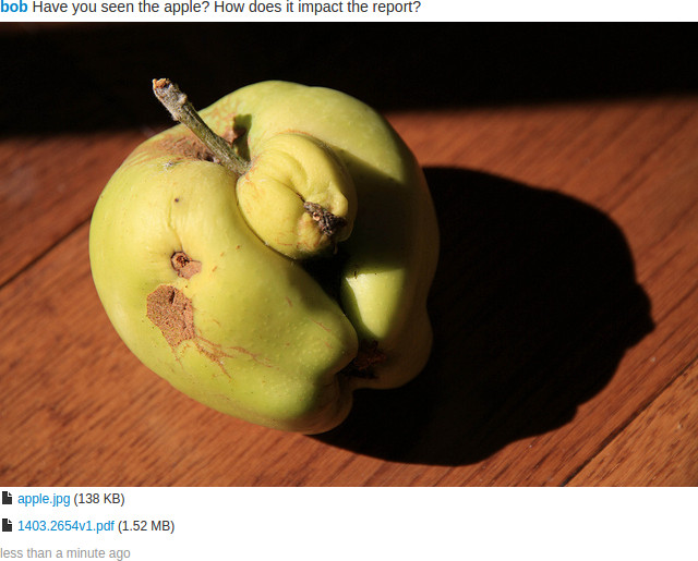 A comment with its attached files.