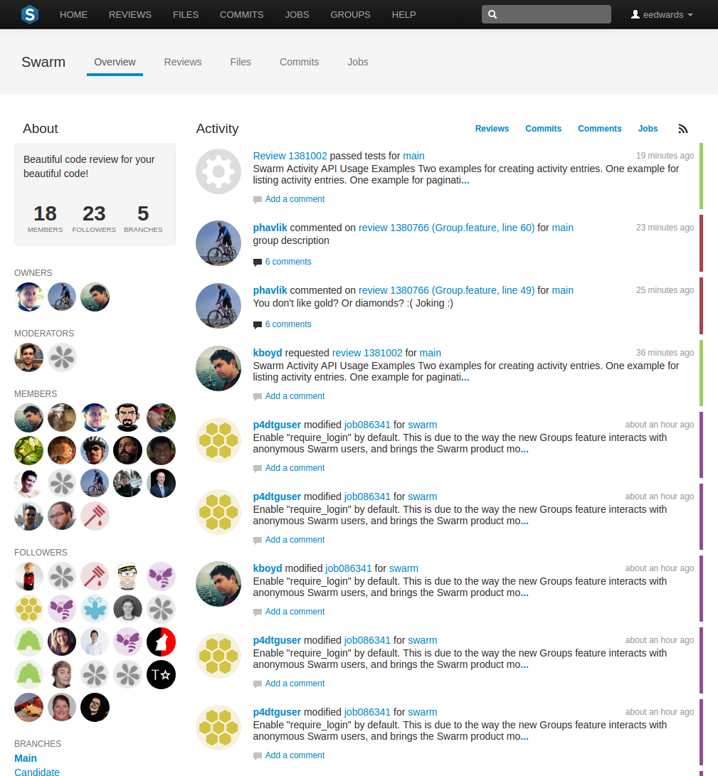 The Project page