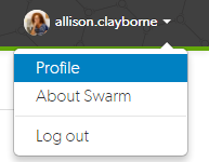 User dropdown menu User dropdown menu image