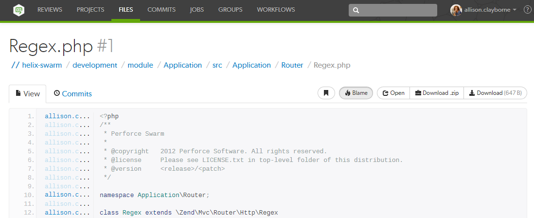 A displayed text file with blame Example text file with blame image