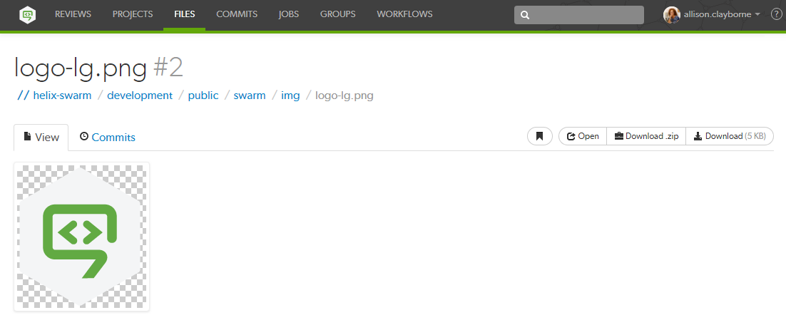 A displayed image Image of an example image