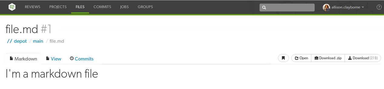 Image of a Markdown tab