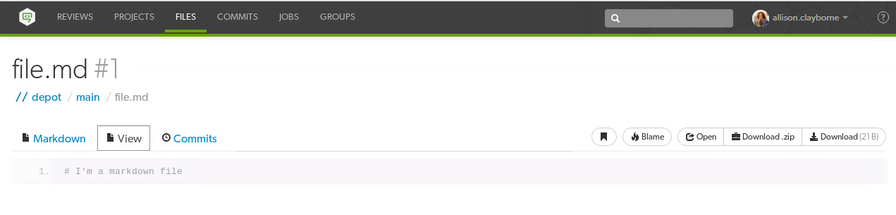 Image of the View tab for a Markdown file