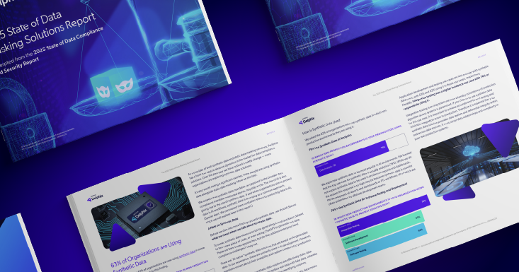 2025 State of Data Masking Solutions Report