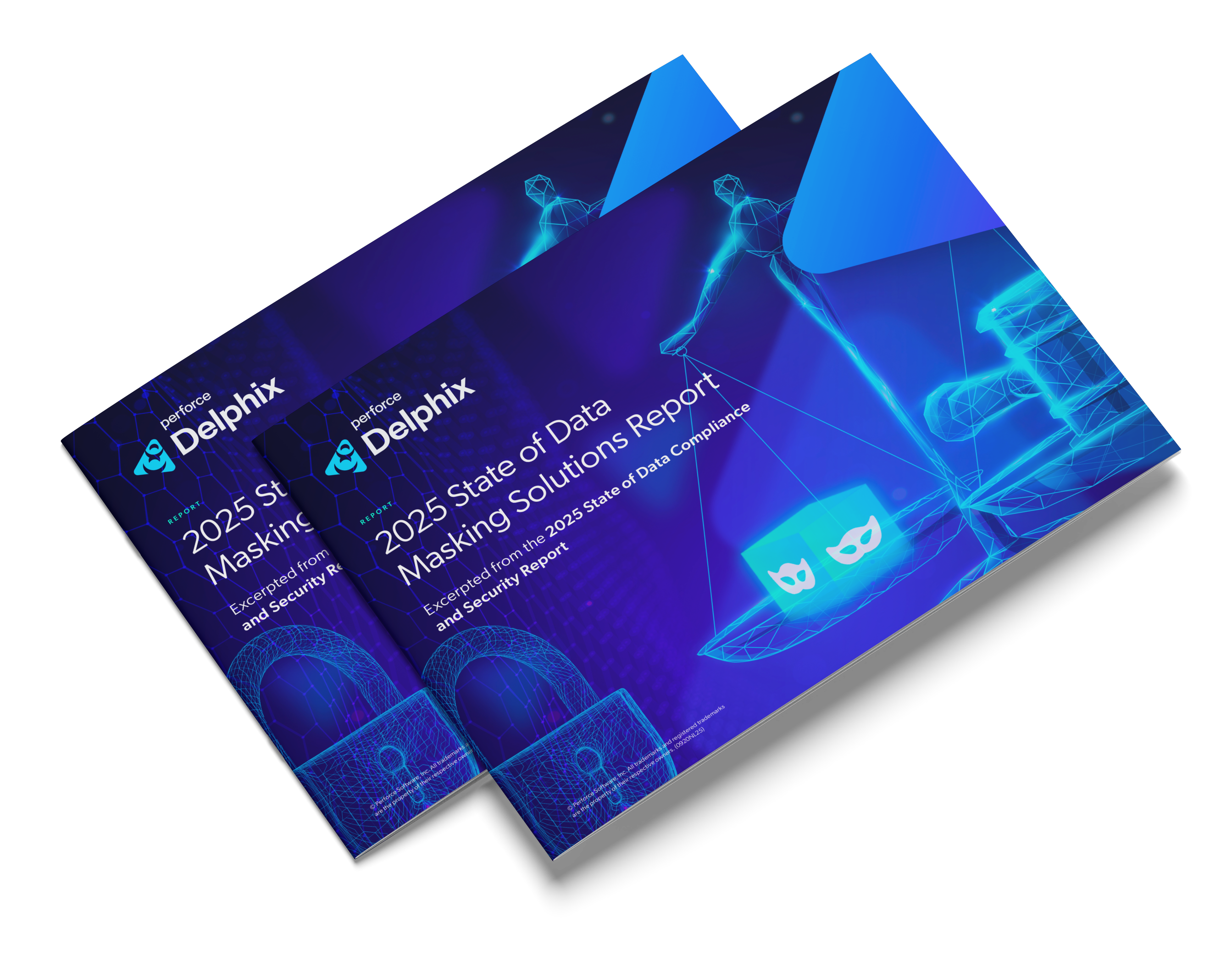 image-pdx-mockup-data-masking-solutions-report