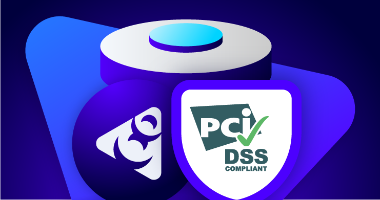 An Enterprise Guide to PCI DSS Compliance Requirements