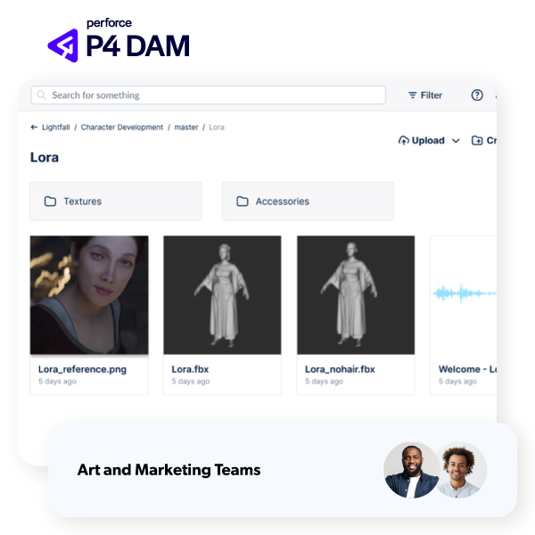 Screenshot of P4 DAM.