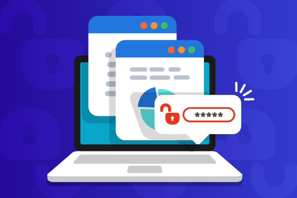 What Is Broken Object Level Authorization?