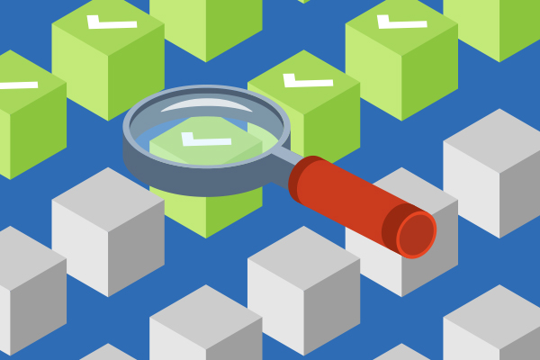 Software Security: Secure Coding Practices Guide