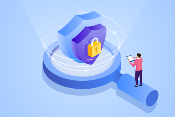 IP Security Vulnerability Detection