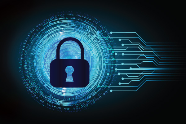 Secure Coding Standards Guide Perforce