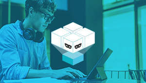 Delphix Data Virtualization Customer Success Stories