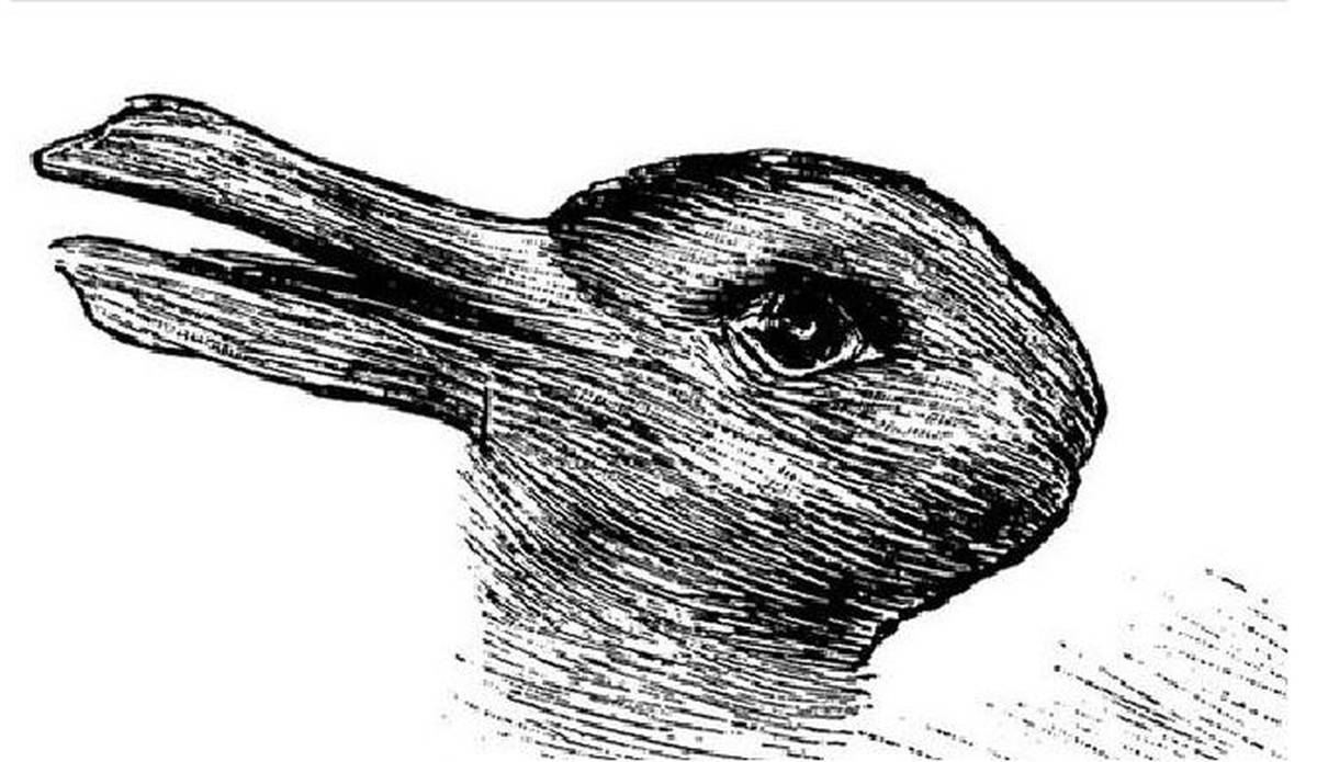 Image of duck or bunny depending on perspective.