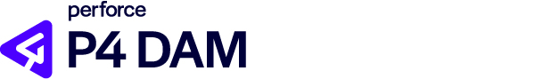 p4 dam