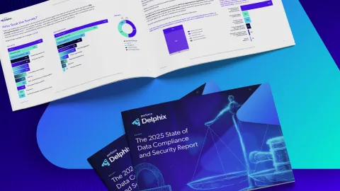 A preview of the 2025 State of Data Compliance and Security Report.